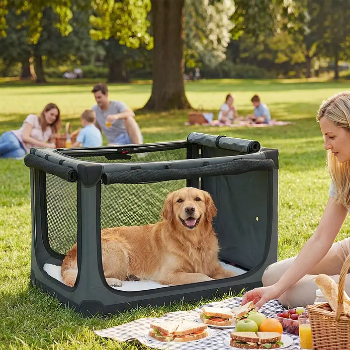 PawHut Katze Transporttasche Grün 90L x 64B x 64H cm -  - Tragbare graue weiche Hundebox mit Netzfenstern und einem Golden Retriever beim Picknick im Freien.