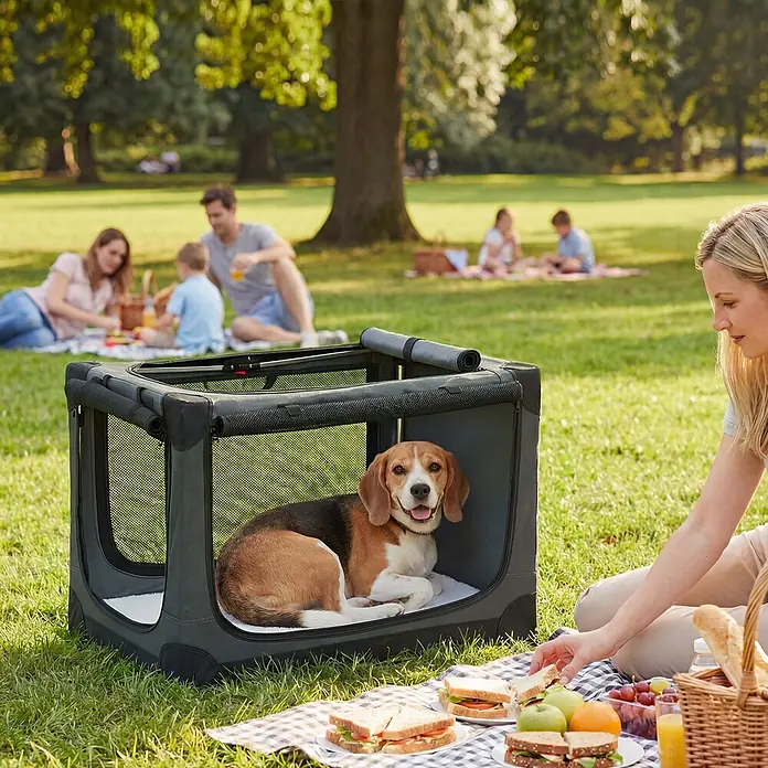 PawHut Katze Transporttasche Grün 76L x 54B x 54H cm -  - Dunkelgraue faltbare Hundebox mit Netzfenstern, ein Beagle liegt darin bei einem Picknick im Freien.