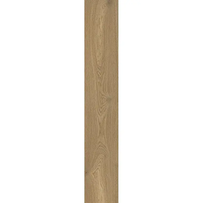 Feinsteinzeug in dunkelbrauner Holzoptik 20x120 - Italienische Fliesen -  - Hellbraune Holzmaserung, ideal für Böden oder Paneele.