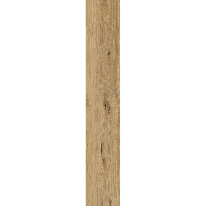 Feinsteinzeug in antiker Eichenholzoptik 20x120, rutschhemmend -  - Naturhellbraune Holzplatte mit ausgeprägter Maserung und dunklen Ästen.