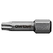 Craftomat Bit Metaal (TX 15, 25 mm, 2-delig)