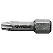 Craftomat Bit Metall (TX 40, 25 mm, 2-tlg.)