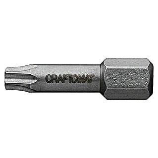 Craftomat Bit Metall (TX 10, 25 mm, 2 -tlg.)