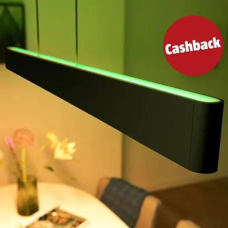 Philips Hue LED-Pendelleuchte White and Color Ambience Ensis