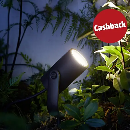 Philips Hue LED-Gartenspot Lily