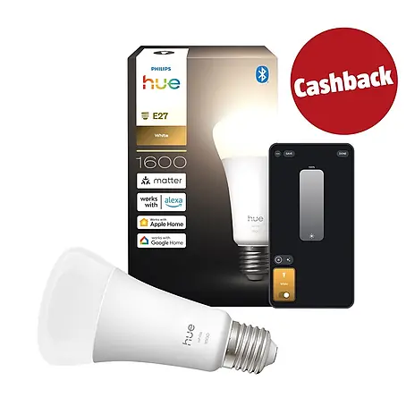 Philips Hue Smart-LED-Lampe White 1600 matter