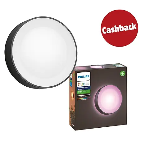 Philips Hue LED-Außenwandleuchte White & Color Ambiance Daylo