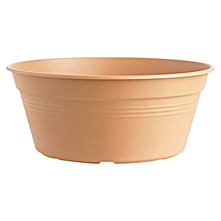 Elho Green Basics Okrogel lonec za rastline (Zunanje dimenzije (Ø x V): 27 x 11 cm, Plastika, Terakota)
