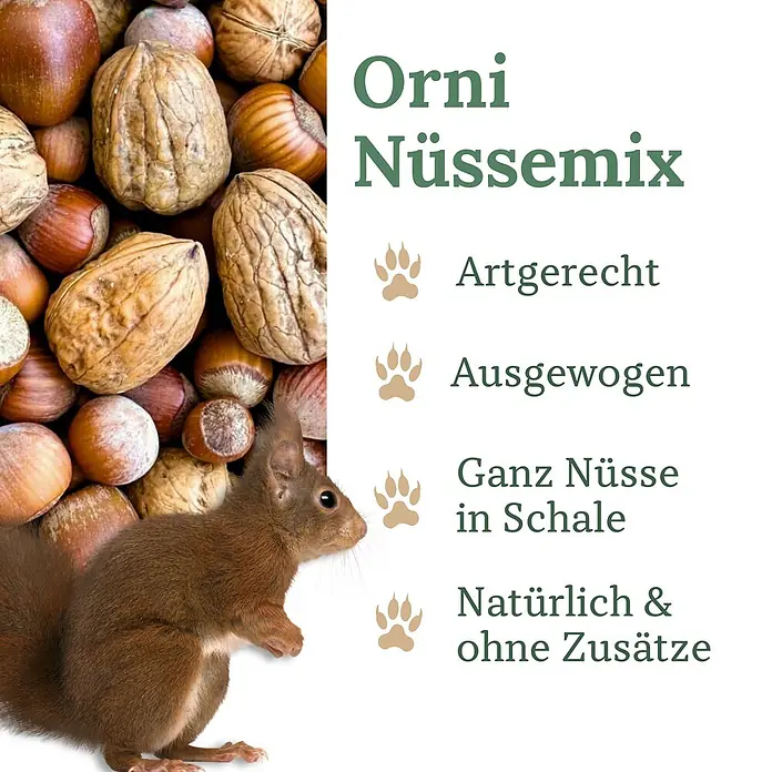 Orni Nüsse-Mix für Eichhörnchen 1kg -  - Orni Nüssemix: Ganze Walnüsse und Haselnüsse mit Eichhörnchen, natürlich und in Schale.