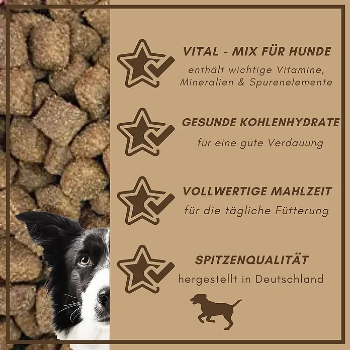 Supravit Hundefutter trocken 4kg für Hunde mit Lamm & Reis -  - Hundefutter-Kibble mit Border Collie und Vorteilen: Vital-Mix, gesunde Kohlenhydrate, vollwertige Mahlzeit, Spitzenqualität aus Deutschland.
