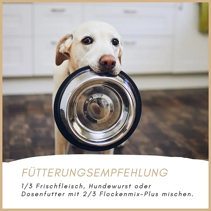 Supravit Flockenmix für Hunde 5kg - Flockenmischung  Ergänzung für Hunde -  - Ein Labrador Retriever hält eine leere Futterschüssel im Maul, mit deutschem Text für Fütterungsempfehlungen.