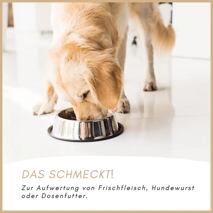 Supravit Flockenmix für Hunde 5kg - Flockenmischung  Ergänzung für Hunde -  - Golden Retriever frisst aus einem silbernen Hundenapf, was eine appetitliche Mahlzeit zeigt.