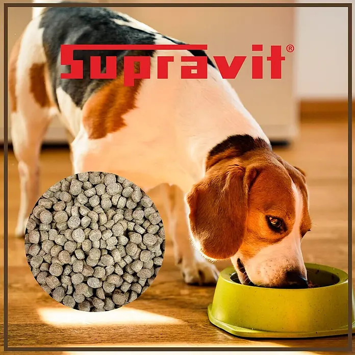 Supravit Hundefutter trocken 5kg | Huhn mit Mais gut verträglich für Hunde -  - SUPRAVIT Hundefutterpellets. Ein Beagle frisst SUPRAVIT Futter aus einer grünen Schüssel, das Logo ist sichtbar.