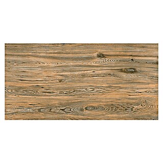 Feinsteinzeugfliese Sherwood Rovere (30 x 60 cm, Eiche, Matt)