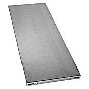 Regalux Legplank (35 x 100 cm, Verzinkt)