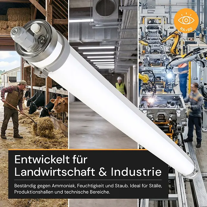 ENOVALITE LED Feuchtraumleuchte 50 W 4000 K neutralweiß -  - Lange, robuste LED-Röhrenleuchte für Landwirtschaft & Industrie, ammoniak-, staub- & feuchtigkeitsbeständig.