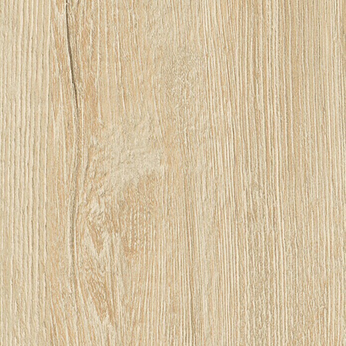 LOGOCLIC Vinto Laminaat Pijnboomhout Pisa (1.285 x 192 x 8 mm, Brede deelplanken)