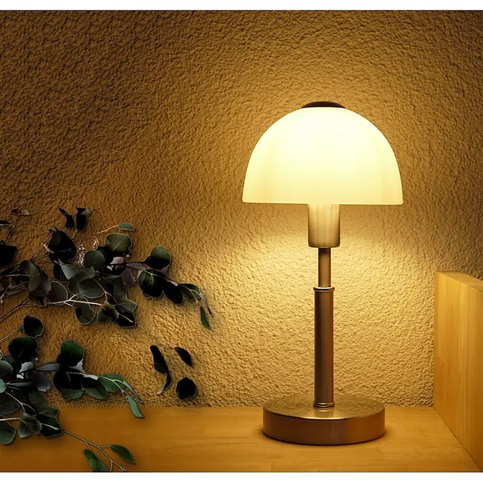 Nachttischlampe Maiolo Nickel Glasschirm -  - Bronzefarbene Tischlampe mit mattem Glasschirm, beleuchtet eine strukturierte Wand. Sie steht auf einer Holzfläche neben Blätterzweigen.