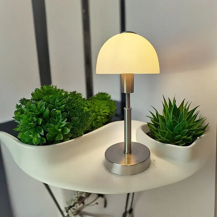 Nachttischlampe Maiolo Nickel Glasschirm -  - Eine kleine Tischleuchte aus gebürstetem Metall mit mattem Kuppelschirm strahlt warmes Licht aus, auf einem weißen Regal zwischen Sukkulenten.