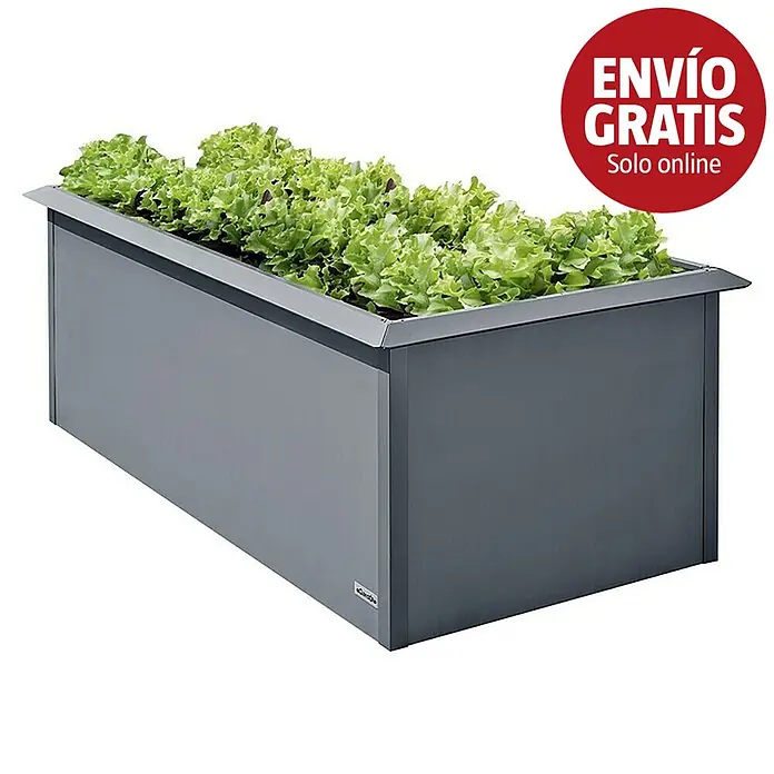 Gardol Huerto urbano - 200 x 100 x 76 cm, Acero, Antracita - Jardinera rectangular de metal gris oscuro llena de lechugas verdes y vibrantes.