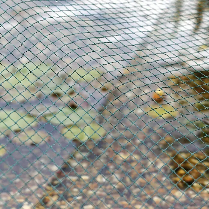 Oase Teichnetz AquaNet 1 - 300 x 400 cm, Anzahl Erdspieße: 8 Stk. - Nahaufnahme eines Teiches, der mit einem Netz bedeckt ist. Das Netz ist grün und hat eine rautenförmige Struktur.