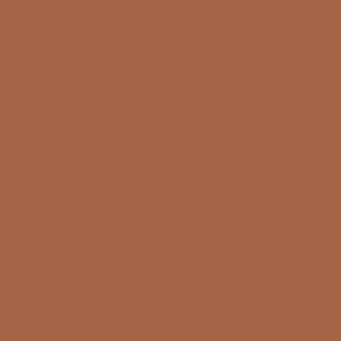 Colorant nuançable SCHÖNER WOHNEN brun caramel