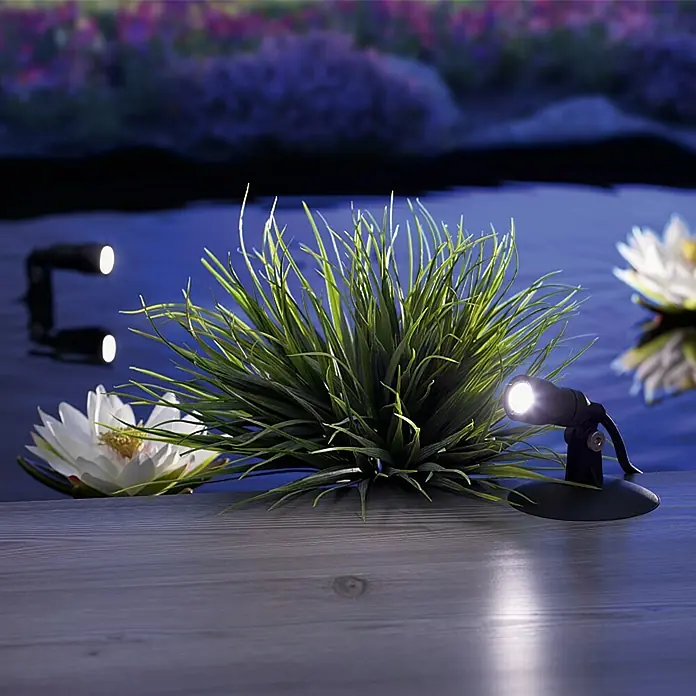 Ritter Leuchten LED-Strahler - 250 lm, L x B x H: 90 x 90 x 60 mm, IP68 - Die Gartenspots beleuchten dekorativ die Pflanze und die Seerosen. Die Strahler setzen stimmungsvolle Akzente im Garten.