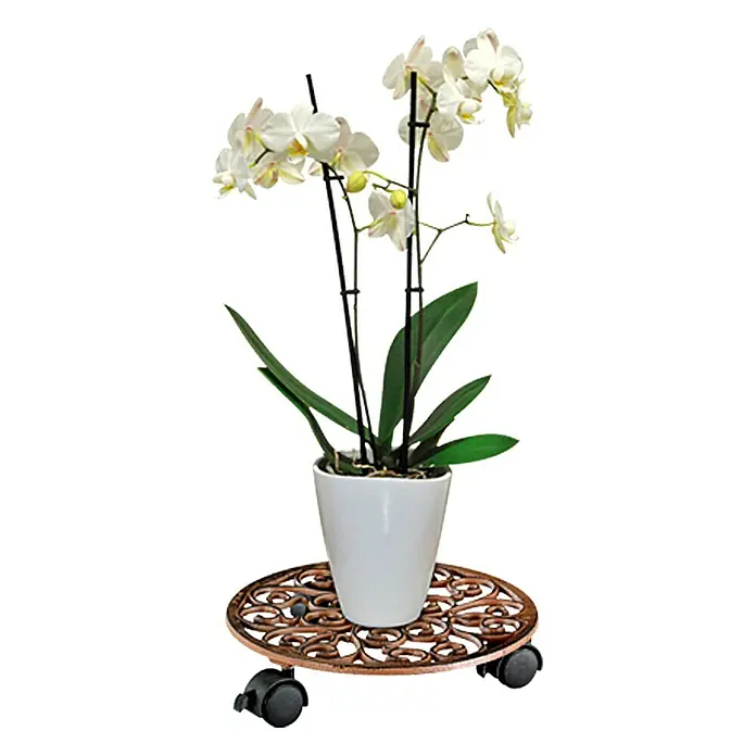 Wagner System Pflanzenroller Ferrum - Rund, Max. Belastung: 50 kg - Ein weißer Topf mit einer blühenden Orchidee steht auf einem runden, dekorativen Pflanzenroller mit schwarzen Rädern.