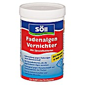 Söll Fadenalgenvernichter (250 g)