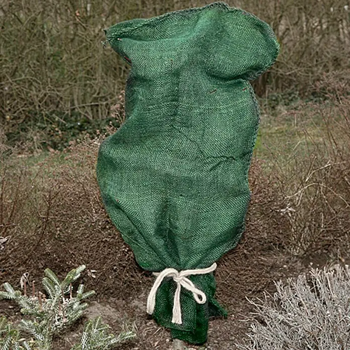 Floraworld Classic Gartensack - Grün, 105 cm - Die Pflanze ist mit einem grünen Frostschutzsack abgedeckt, der mit einer Kordel gesichert ist, um sie vor Kälte zu schützen.