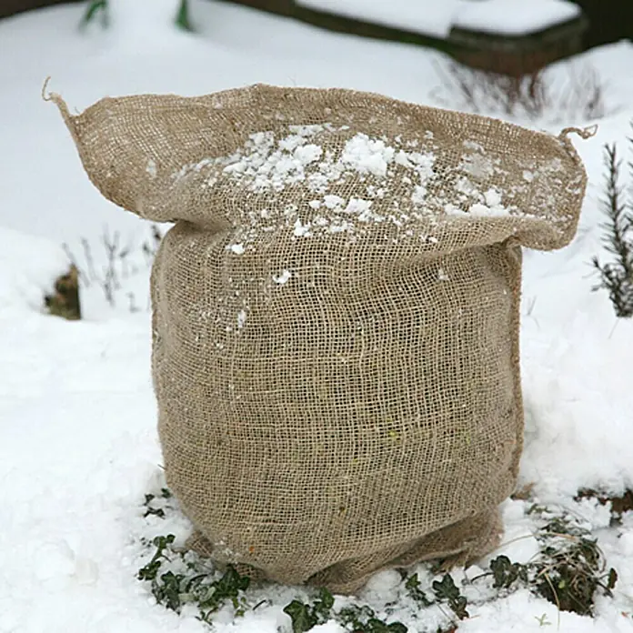Floraworld Classic Gartensack - Natur, 60 cm - Nahaufnahme eines Jutesacks mit Schnee bedeckt, der eine Pflanze vor Frost im Winter schützt.