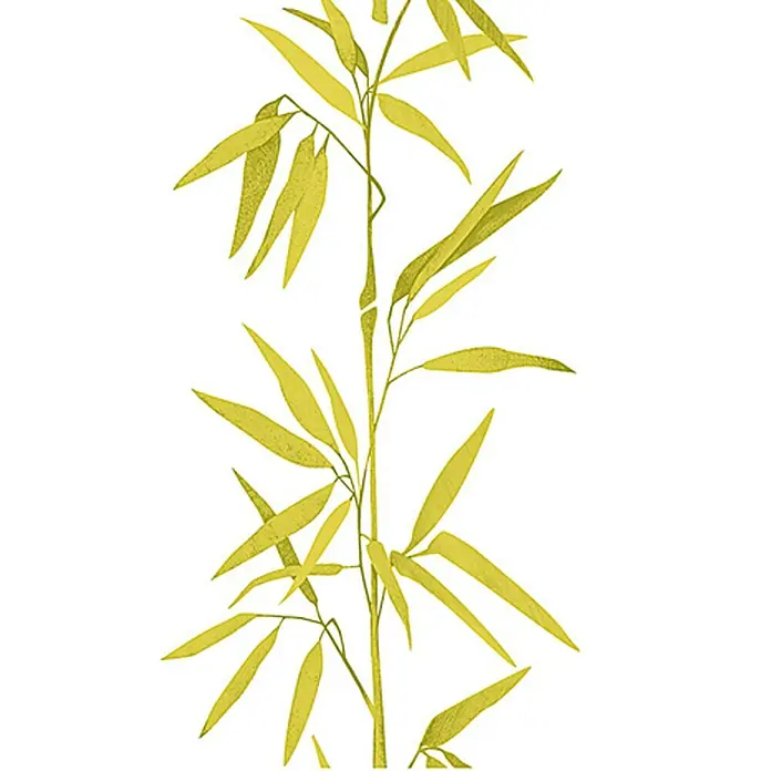 A.S. Création Designpanel pop.upBambus, Grün/Weiß, 35 cm x 2,5 m - Illustration eines grünen Bambusbaums mit länglichen Blättern auf weißem Hintergrund. Ideal für naturnahe Designs.