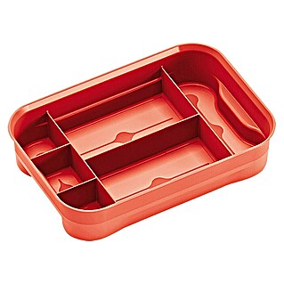 Regalux Inzetstuk voor Clear Boxen XXS (Passend bij: Regalux Clear Box XXS, Aantal vakken: 6 st.)
