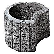EHL Pflanzstein Stützflor (Grau, 35 x 28 x 20 cm, Beton)