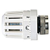 Admiral Termostatska glava  (Bela, M 30, 1,5 mm) | 4115 - Thermostatventile | DCEB - Heizkörper | DCE - Heizung | DC - Sanitärinstallation | D - Sanitär | BAUHAUS
