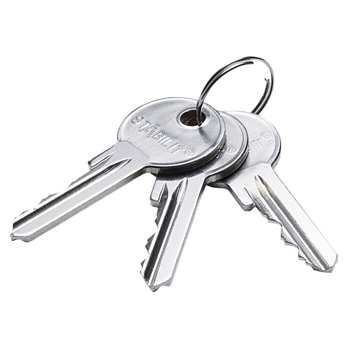 Abus Profielcilinder (Lengte binnen: 40 mm, Lengte buiten: 30 mm, Aantal sleutels: 3 st.) | BAUHAUS