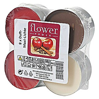 Duft-Teelicht Maxi (8 Stk., Apfel-Zimt)