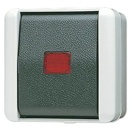 Jung WG 800 Kontrollschalter 806KOW