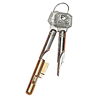 Burg-Wächter Schlüssellochsperrer E 7/3 (Anzahl Schlüssel: 3, Ohne Anschlag, Durchmesser Zylinder: 7 mm)