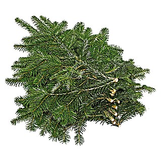 Piardino Nordmann Tannenreisig (Großbund)