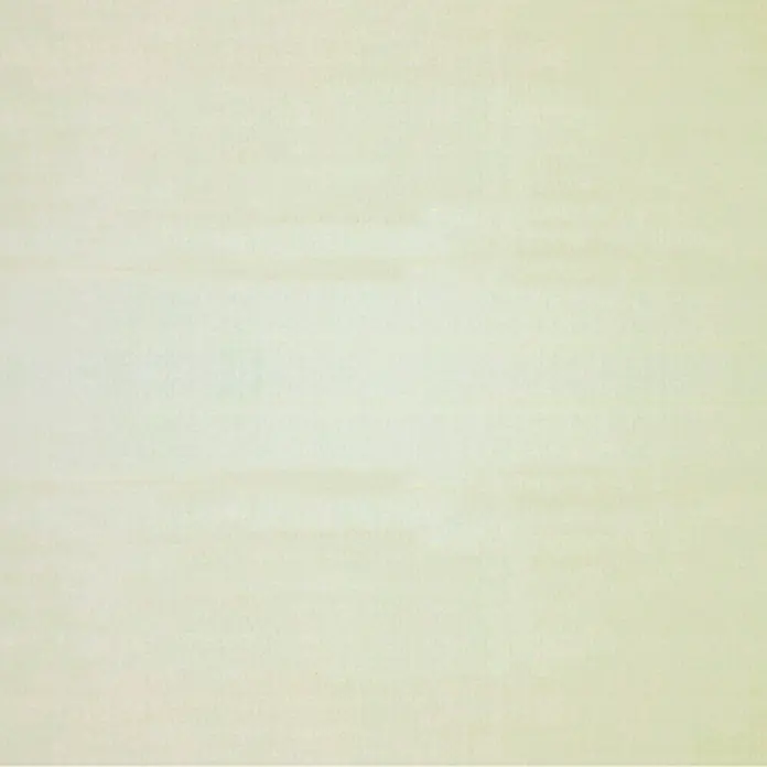 Expo Ambiente Flächenvorhang Basic - Beige, 100 % Polyester, B x H: 60 x 300 cm - Helles, cremefarbenes Oberflächenbild mit subtilen Texturen, ideal für Hintergründe oder Präsentationen. Es bietet eine sanfte, neutrale Ästhetik.