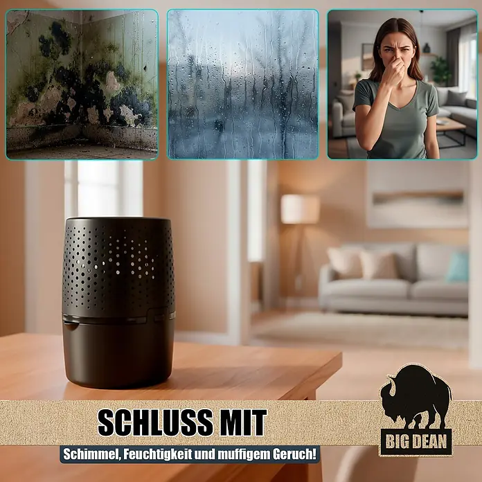 BigDean Luftentfeuchter-Nachfüllpack 2 Stk., 450 g -  - Schwarzer perforierter Luftentfeuchter/Luftreiniger auf einem Holztisch, bekämpft Schimmel, Feuchtigkeit und muffigen Geruch in einem Wohnraum.