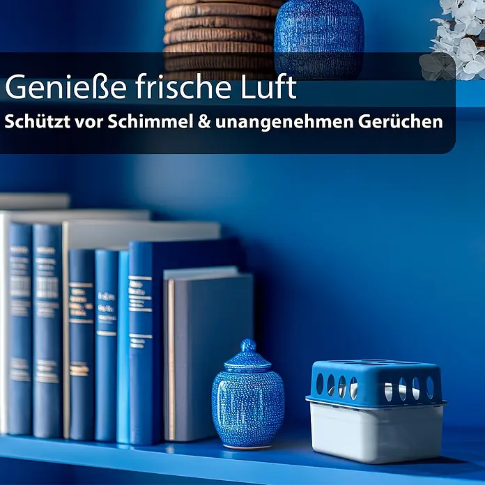 BigDean Luftentfeuchter-Set 5 Stck., Weiß -  - Blau-weißer Luftentfeuchter auf einem Regal, der Schimmel und Gerüche verhindert.