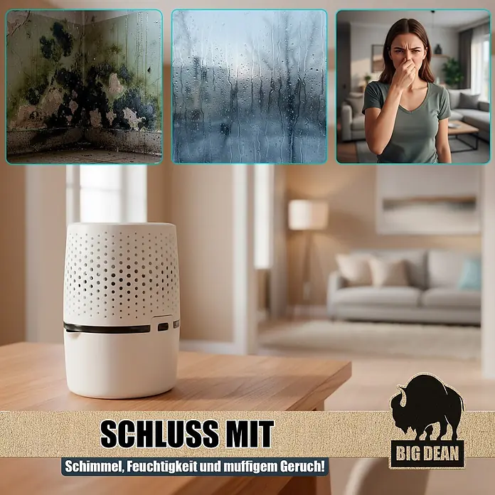BigDean Luftentfeuchter-Nachfüllpack 2 Stk., 680 g -  - Weißer Luftentfeuchter auf Holztisch, Bilder zeigen Schimmel, Regen, Frau mit gerümpfter Nase, für Feuchtigkeit & Geruch.