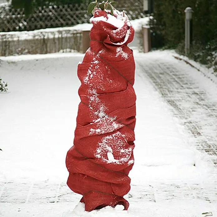 Floraworld Classic Jute-Gewebematte - Rot, 500 cm - Ein in rotes Tuch gehüllter Strauch, geschützt vor der Kälte. Schnee bedeckt die Baumwolle und die Umgebung.