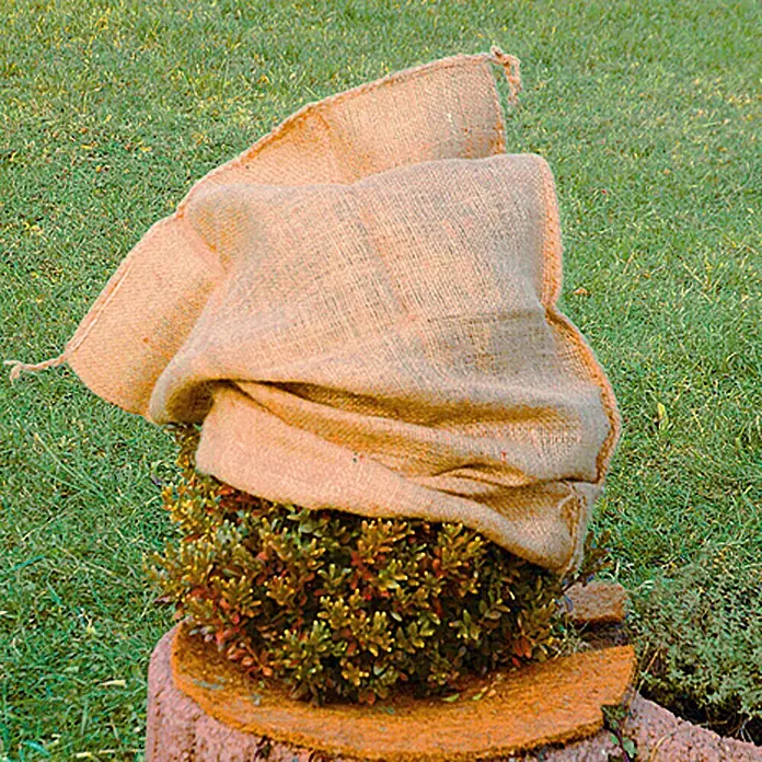 Floraworld Classic Gartensack - Natur, 105 cm - Die Pflanze ist zum Schutz vor Frost mit einem Jutesack abgedeckt, der auf einem Baumstumpf im Garten steht.