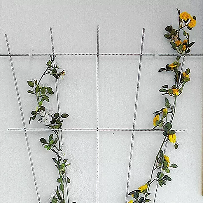 Bellissa Rosenspalier - Weiß, B x H: 72 x 150 cm - Stimmungsaufnahme