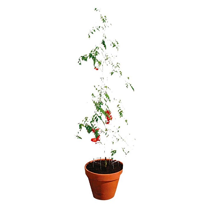 Bellissa Stolp za paradižnik  (Višina: 120 cm, Premer: 13 cm) | Opore za plezalke | Opore za rastline plezalke | Ograje in zastori | Vrt in prosti čas | Izdelki | BAUHAUS