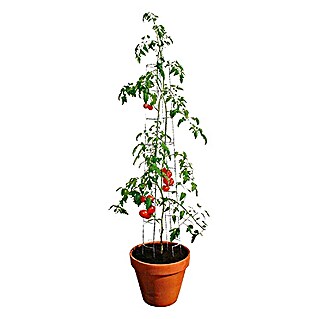 Bellissa Toranj za rajčice (Visina: 120 cm, Promjer: 13 cm)