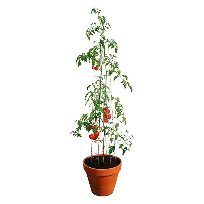 Bellissa TomatenturmHöhe: 120 cm, Durchmesser: 13 cm Unknown